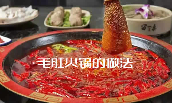 原料多样，味鲜麻辣，汤汁浓醇的毛肚火锅怎么做