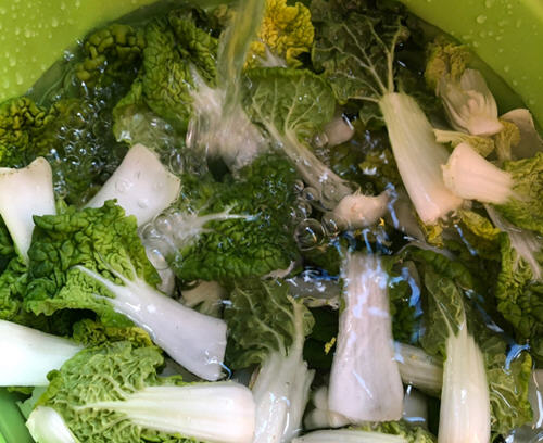 非常爽口的健康美食：清炒黄心乌菜