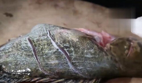 介绍一种适合家庭使用的臭鳜鱼腌制方法
