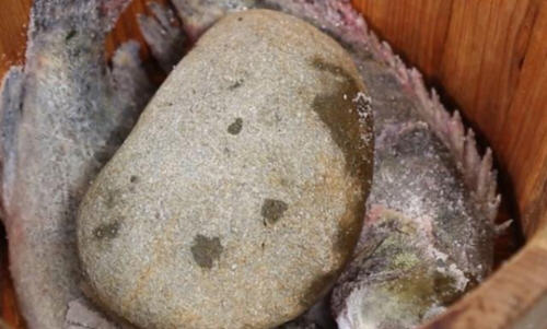 介绍一种适合家庭使用的臭鳜鱼腌制方法