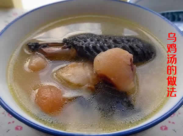 乌鸡汤的功效及乌鸡汤的做法介绍 乌鸡汤的功效及乌鸡汤的做法介绍