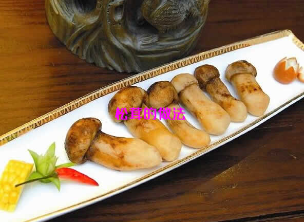 口感鲜嫩，营养价值高的松茸的做法介绍