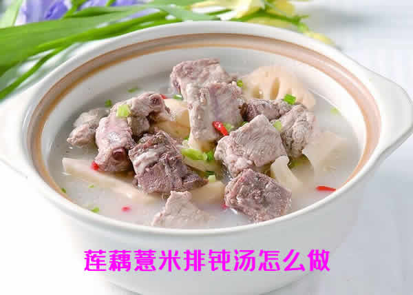 既美味可口,又有助于调理身体的莲藕薏米排骨汤怎么做 既美味可口,又有助于调理身体的莲藕薏米排骨汤怎么做