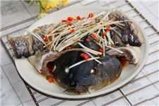 鲤鱼怎么做好吃之清蒸鲤鱼的做法介绍 鲤鱼怎么做好吃之清蒸鲤鱼的做法介绍