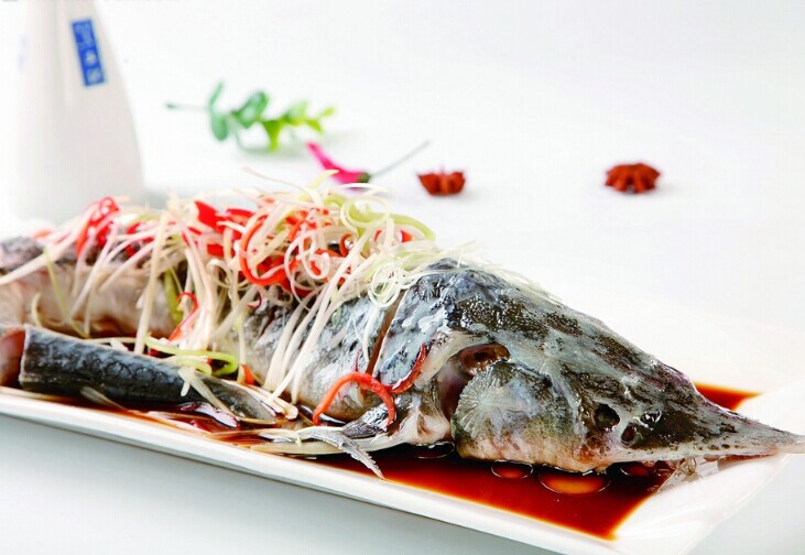 鲟鱼的做法简单又好吃之清蒸鲟鱼 鲟鱼的做法简单又好吃之清蒸鲟鱼