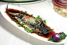 鲟鱼的做法简单又好吃之清蒸鲟鱼 鲟鱼的做法简单又好吃之清蒸鲟鱼