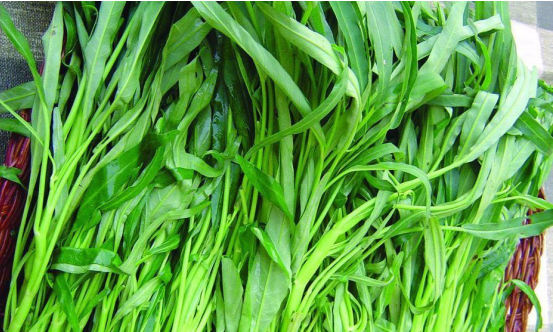 带你了解健康蔬菜空心菜怎么炒好吃 带你了解健康蔬菜空心菜怎么炒好吃