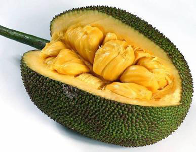 菠萝蜜和榴莲的区别在哪里 有图片对比 菠萝蜜和榴莲的区别在哪里
