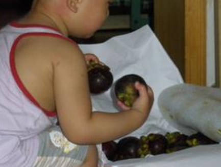 介绍宝宝可以吃山竹吗 介绍宝宝可以吃山竹吗