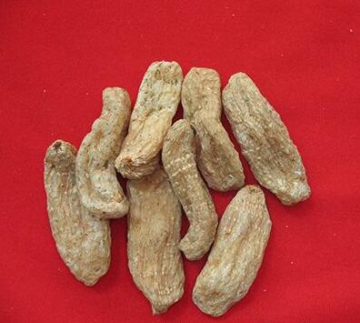 15岁小孩可以吃天麻吗 吃天麻的副作用