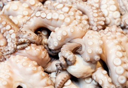 石章鱼的做法_石章鱼的营养价值