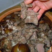 推荐几款对抗雾霾天的日常饮食 对抗雾霾天气有妙招 罗汉果杏仁猪肺汤的做法图解13