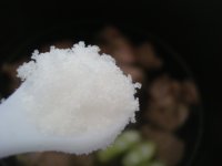 清汤羊肉炖黄萝卜做法，色香味俱全，口感鲜美，营养丰富