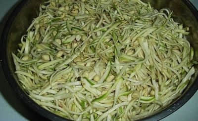 有特殊的鲜味和香味的芥菜丝的腌制方法介绍 有特殊的鲜味和香味的芥菜丝的腌制方法介绍