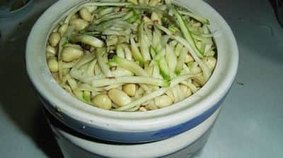 有特殊的鲜味和香味的芥菜丝的腌制方法介绍 有特殊的鲜味和香味的芥菜丝的腌制方法介绍