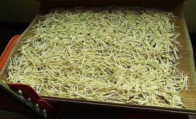 有特殊的鲜味和香味的芥菜丝的腌制方法介绍 有特殊的鲜味和香味的芥菜丝的腌制方法介绍