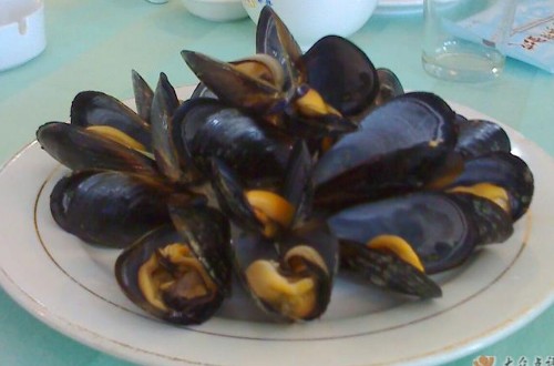 大家知道淡菜的涨发与保存方法吗？