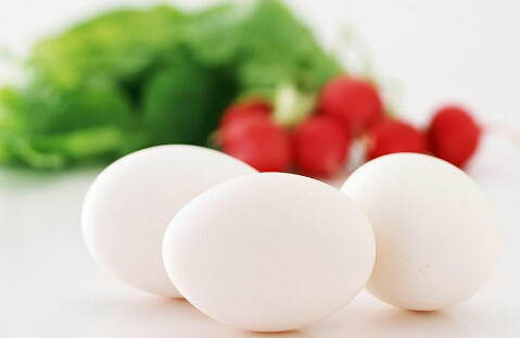 营养素是什么？营养素三大功能介绍