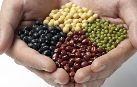 营养素是什么？营养素三大功能介绍