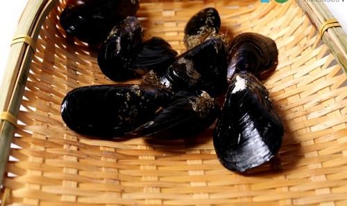 大家知道淡菜的涨发与保存方法吗？