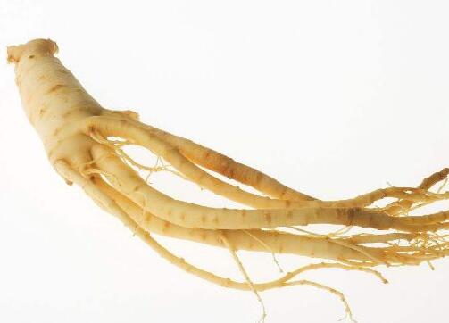 大家知道玄参的功效与作用吗？一起看看吧