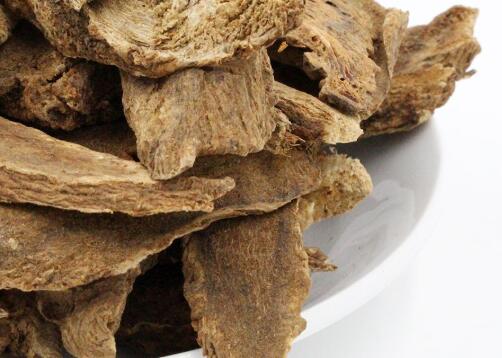 木香的功效与作用【木香的功效与作用的功能与主治与用量】