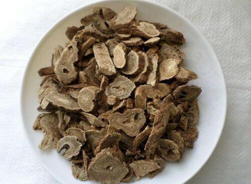 木香的功效与作用