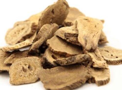 木香的功效与作用