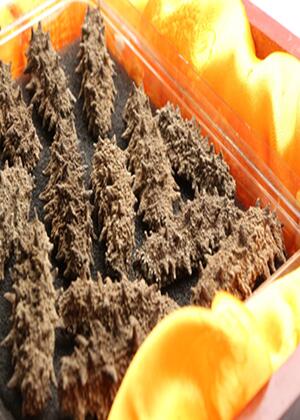 海参小米粥的家常做法,喜欢的老铁们可以自己做