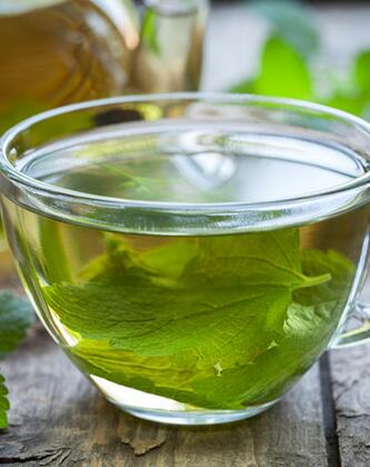 薄荷叶的吃法，薄荷叶还能这样吃