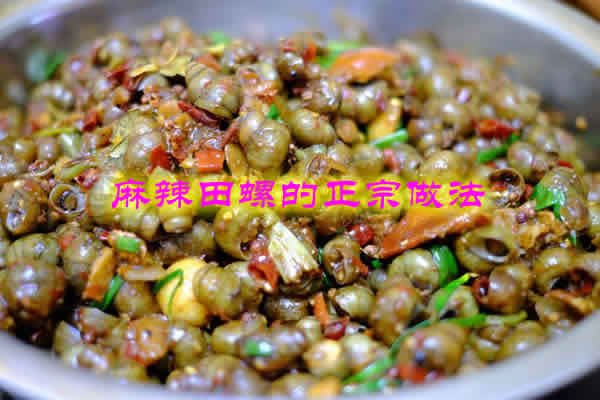 麻辣鲜香的下酒好菜麻辣田螺的正宗做法 麻辣鲜香的下酒好菜麻辣田螺的正宗做法