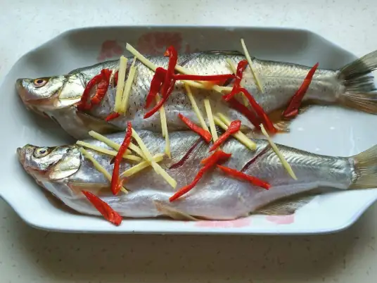 清蒸江白鱼,色彩艳丽,鱼肉洁白,细嫩鲜美,汤汁清淡 清蒸江白鱼,色彩艳丽,鱼肉洁白,细嫩鲜美,汤汁清淡