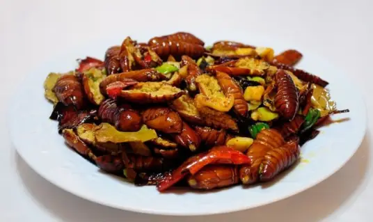 美味又营养丰富的家常版干煸蚕蛹 美味又营养丰富的家常版干煸蚕蛹