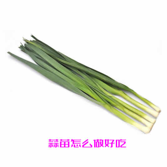 带大家了解日常生活中常见的蒜苗怎么做好吃 带大家了解日常生活中常见的蒜苗怎么做好吃
