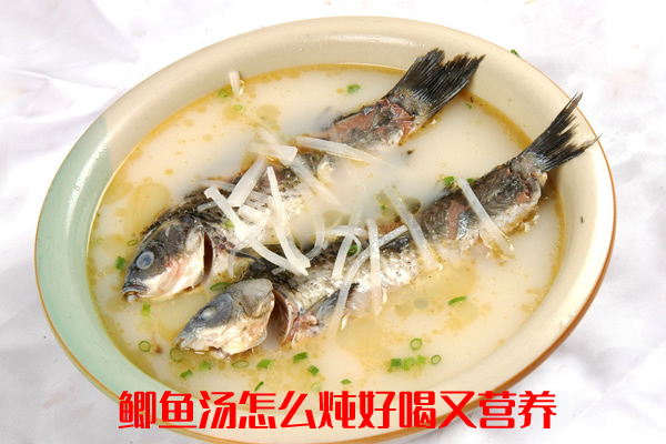 肉质细嫩,营养全面,极为补益的鲫鱼汤怎么做 肉质细嫩,营养全面,极为补益的鲫鱼汤怎么做