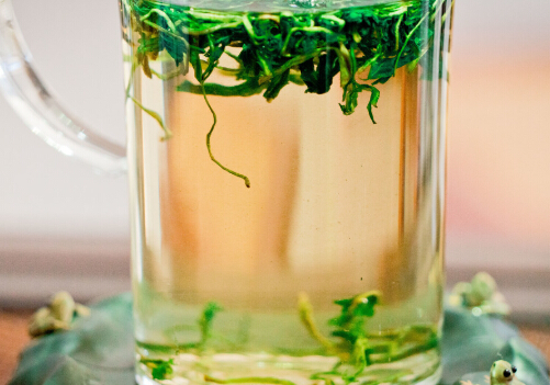 蒲公英茶的功效与作用