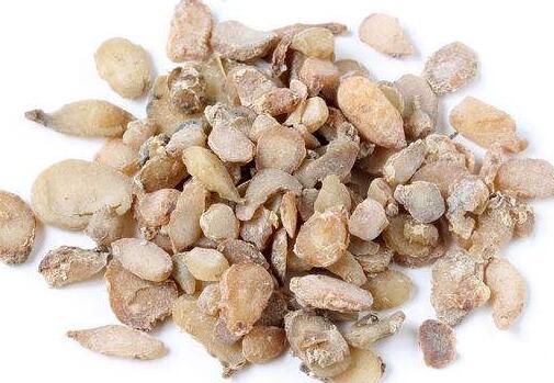 半夏是什么药材?半夏的功效与作用有哪些?