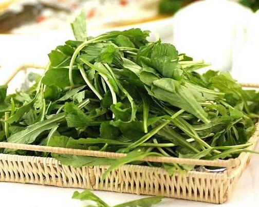 荠菜大家熟悉吗?跟大家分享荠菜的功效及其禁忌