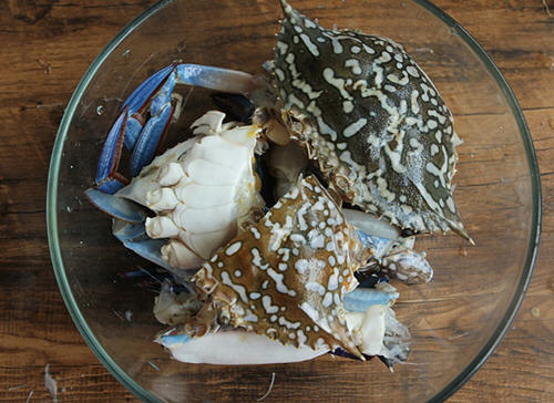 家常螃蟹粉丝煲,粉丝充分的吸收了螃蟹鲜美的味道 家常螃蟹粉丝煲,粉丝充分的吸收了螃蟹鲜美的味道
