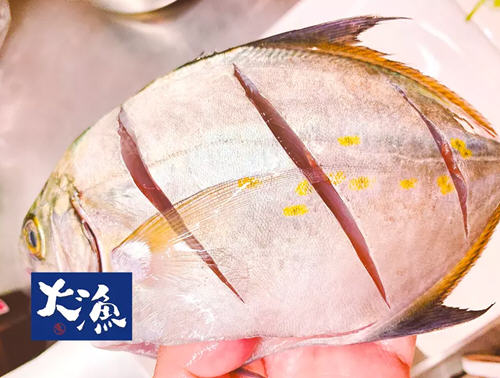 口感鲜甜,肉质细嫩的清蒸白鲳鱼怎么做更正宗