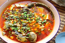 鲶鱼炖豆腐的家常做法，鲜香无腥味，解馋又下饭