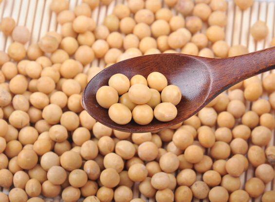 营养专家为大家带来可以调整荷尔蒙四大食物