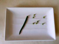 健康又营养的儿童食谱大全 简单易学宝宝爱吃的可口饭菜 草莓鱼早餐拼盘的做法步骤7