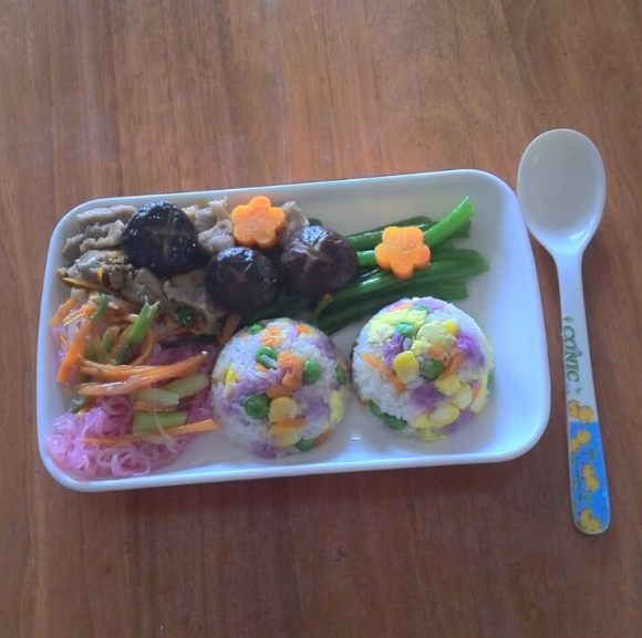 健康又营养的儿童食谱大全 简单易学宝宝爱吃的可口饭菜 童趣饭团
