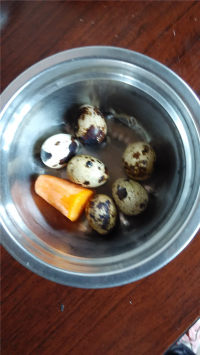 健康又营养的儿童食谱大全 简单易学宝宝爱吃的可口饭菜 小兔踏青的做法步骤1