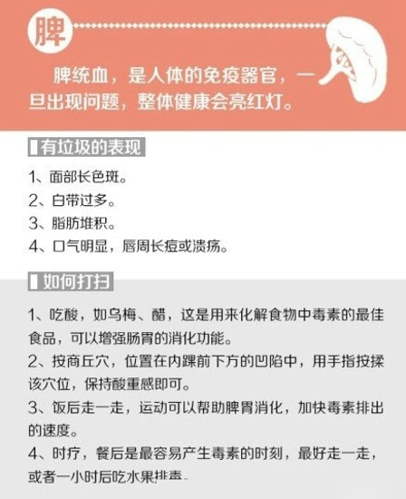 给你的身体来次大扫除 排除体内垃圾保持健康体态