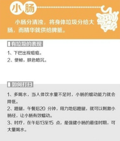 给你的身体来次大扫除 排除体内垃圾保持健康体态