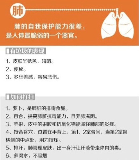 给你的身体来次大扫除 排除体内垃圾保持健康体态