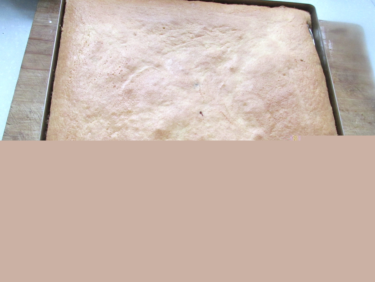 蔓越莓海绵蛋糕 蔓越莓海绵蛋糕