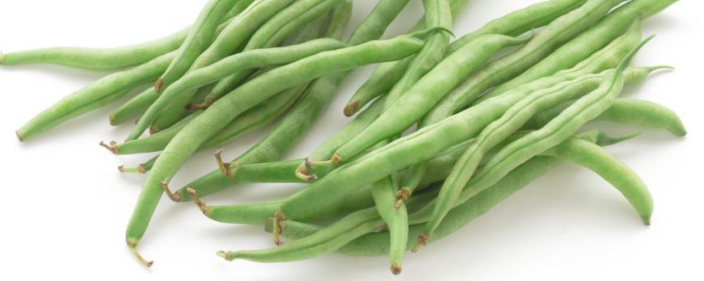 食谱大全 菜谱 干煸四季豆做法 食谱